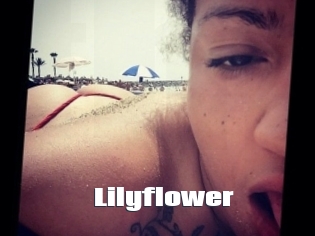 Lilyflower