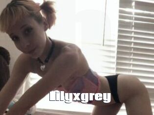 Lilyxgrey