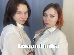 Lisaandmika