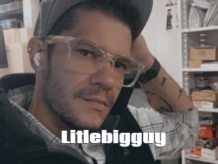 Litlebigguy