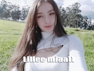 Litlee_miaa11
