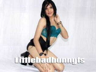 Littlebadbunnyts