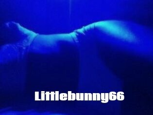 Littlebunny66