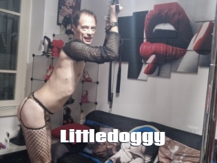 Littledoggy