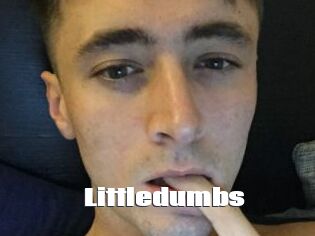 Littledumbs