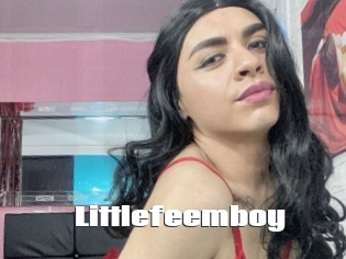 littlefeemboy The hot porn