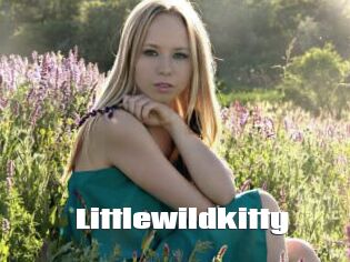 littlewildkitty The hot porn