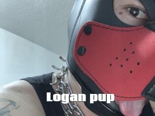 Logan_pup