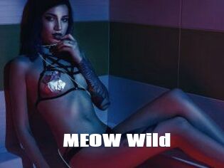 MEOW_Wild