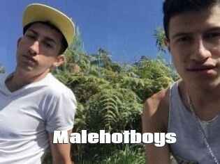 Malehotboys