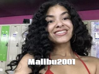 Malibu2001