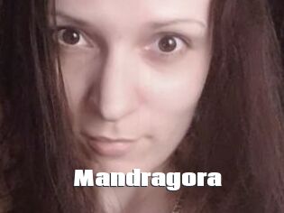 Mandragora