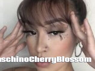 MaraschinoCherryBlossom