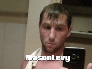 Mason_Levy