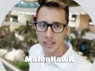 MateoHawk