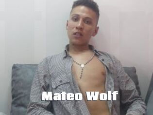 Mateo_Wolf