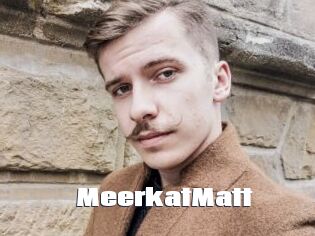 MeerkatMatt