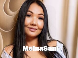 MeinaSani