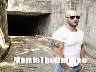 MorrisTheHumme The hot porn