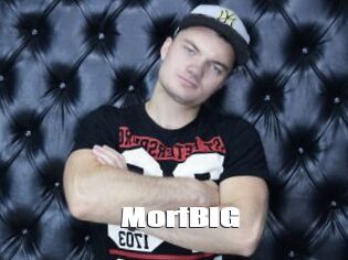 MortBIG