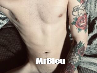 MrBleu