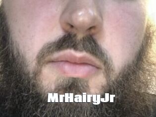 MrHairyJr