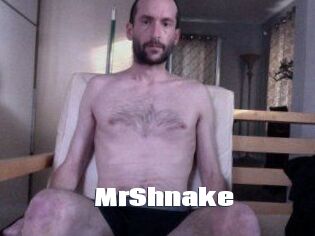 MrShnake