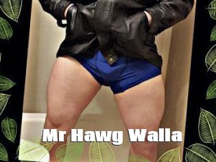 Mr_Hawg_Walla