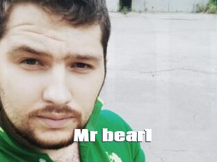 Mr_bear1