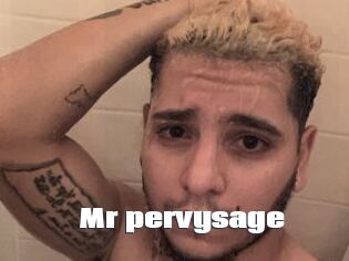 Mr_pervysage The hot porn