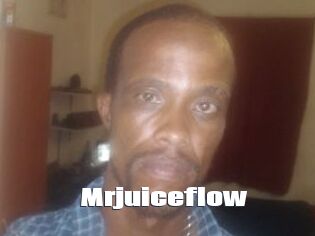 Mrjuiceflow