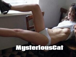 MysteriousCat