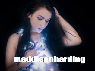 Maddisonharding