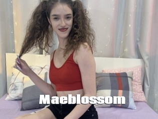 Maeblossom