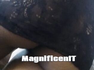 MagnificentT