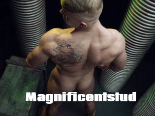 magnificentstud The hot porn