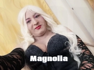 Magnolia