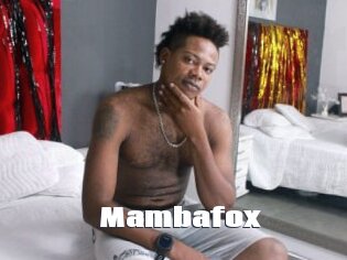 Mambafox