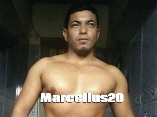 Marcellus20