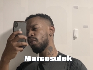 marcosulek The hot porn