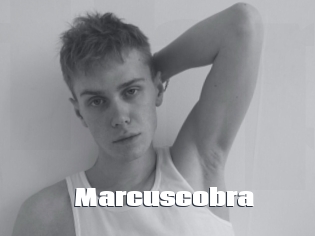 marcuscobra The hot porn