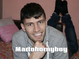 Mariohornyboy