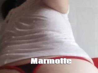 Marmotte