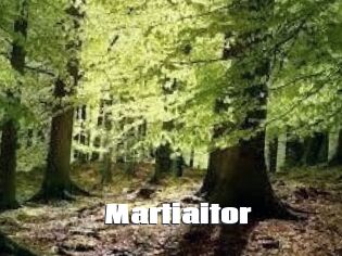 Martiaitor