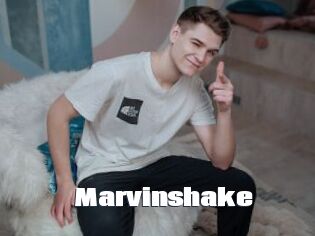Marvinshake