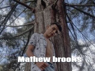 Mathew_brooks