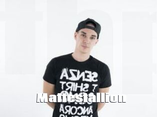 Mattestallion