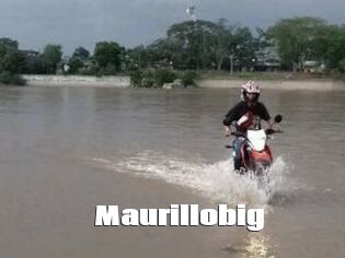 Maurillobig