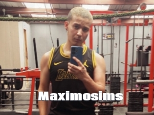 Maximosims
