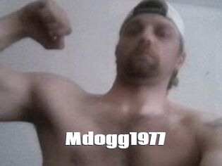 Mdogg1977